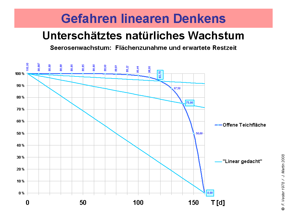 Lineares_waSeer_06