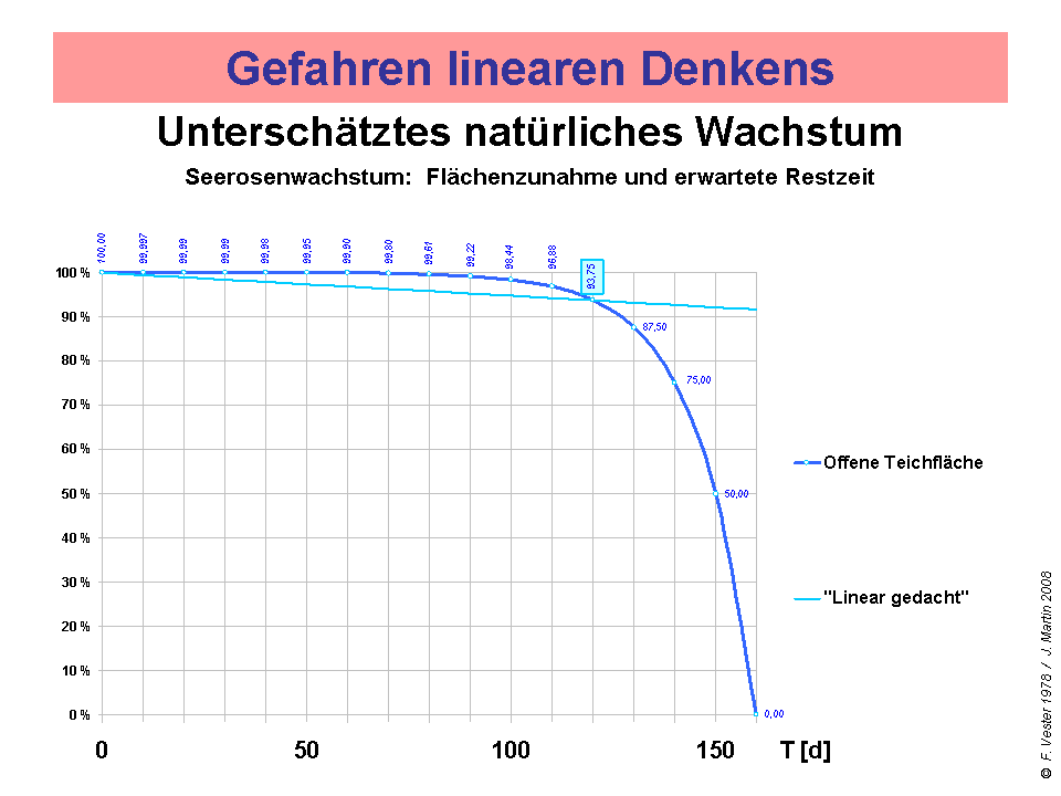 Lineares_waSeer_04